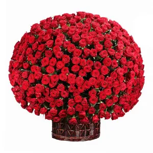 Корзина Красных Роз